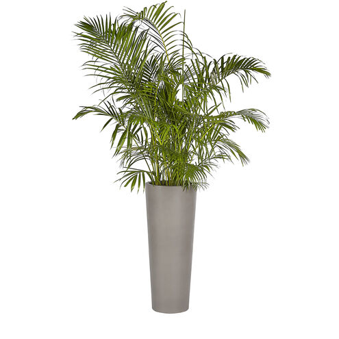 Arbor Dark Grey Outdoor Planter, Large